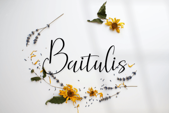 Baitulis Font: A Handwritten Script Typeface for Campaigns