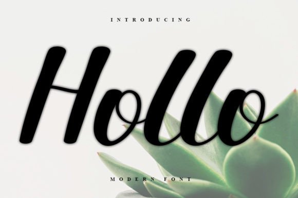 Hollo: A Script Amp That Earns Its Place