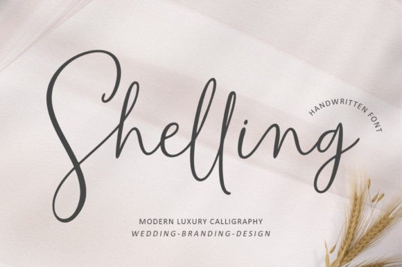 Shelling Font Review: Why This Handwritten Typeface Works for Campaign Design