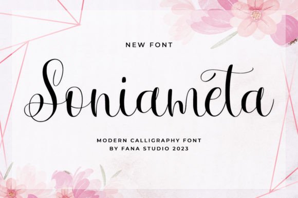 Soniameta: A Calligraphic Font Built for Modern Web Design