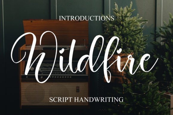 Wildfire: A Handwritten Font That Brings Warmth to Branding Projects